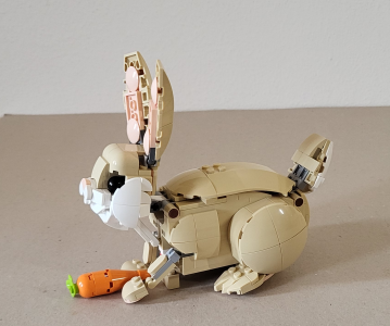 Hase von links