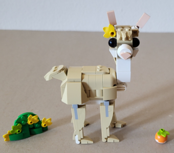 Lama Seitenansicht