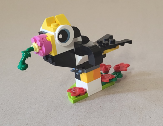 Vogel von links vorne