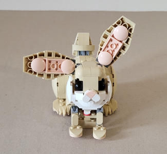 Hase von vorne